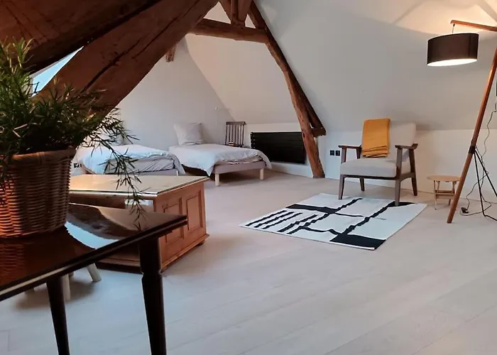 Triplex Hypercentre Avec Parking